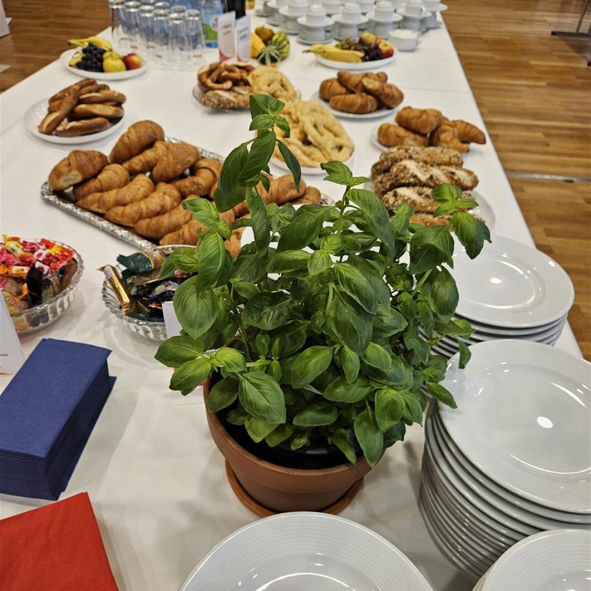 2025_09_29_senetics_Kooperationskongress_Medizintechnik_Impressionen_Allgemein_11 (Large)